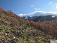 2021-01-12 Monte Pellecchia 046